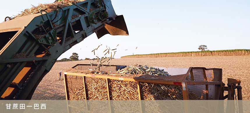 55世纪-购彩大厅welcome(中国游)官方网站