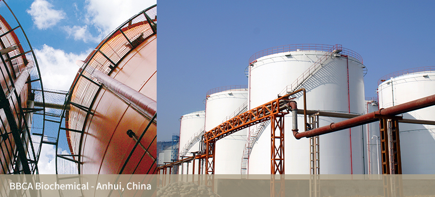 55世纪-购彩大厅welcome(中国游)官方网站