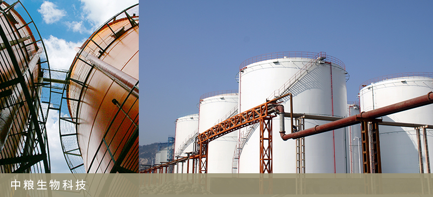 55世纪-购彩大厅welcome(中国游)官方网站