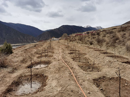 55世纪-购彩大厅welcome(中国游)官方网站