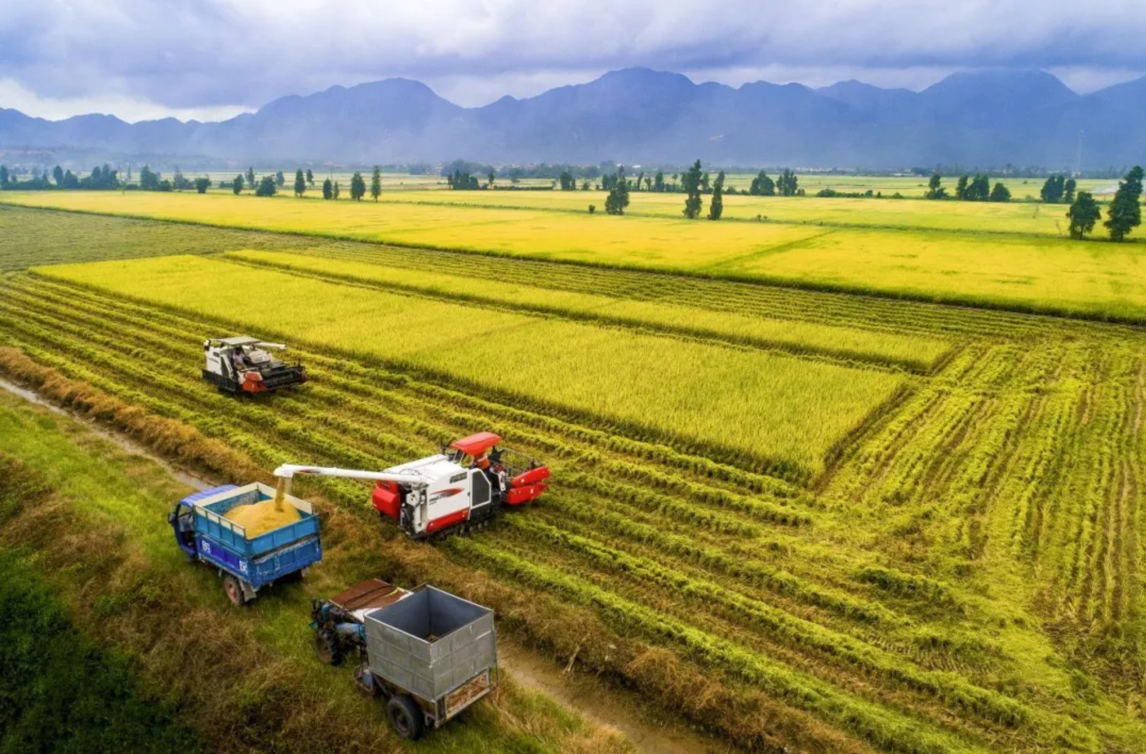 55世纪-购彩大厅welcome(中国游)官方网站