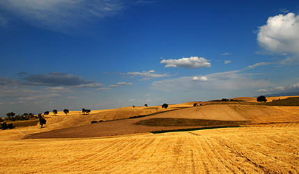 55世纪-购彩大厅welcome(中国游)官方网站