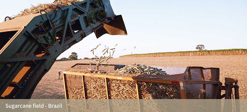 55世纪-购彩大厅welcome(中国游)官方网站