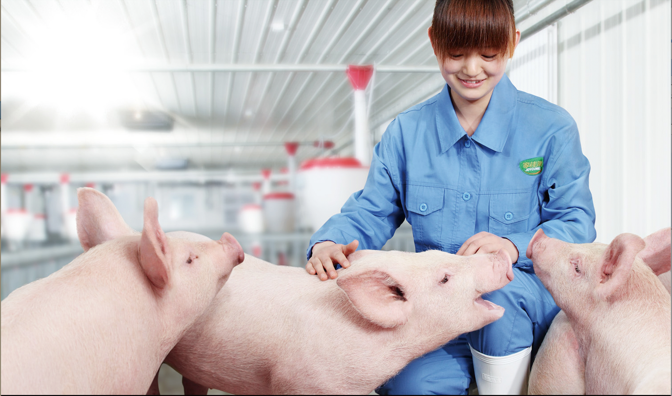 55世纪-购彩大厅welcome(中国游)官方网站